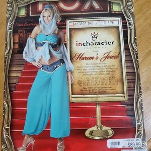 Harem Genie Halloween costume VGUC